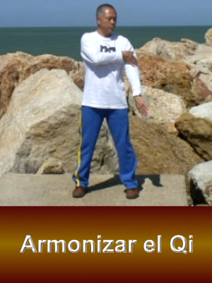 ARMONIZAR EL QI