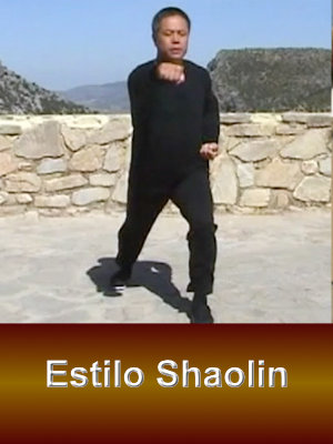 ESTILO SHAOLIN