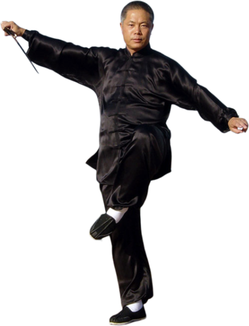 Maestro Fumin Wang Guo